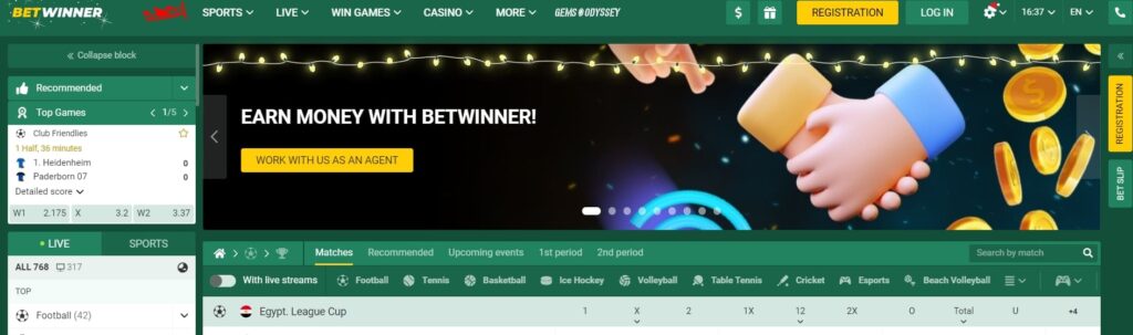 Betwinner Oversigt