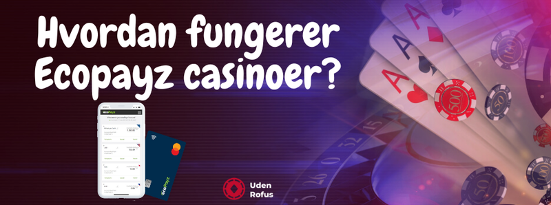 Hvordan fungerer casinoer med Ecopayz